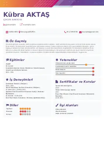 Çocuk Bakıcısı CV Örnekleri cv indir